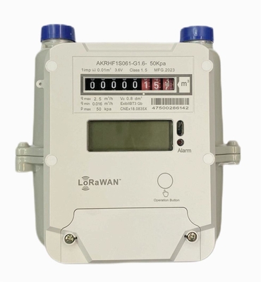 STS AMR Prepaid LORAWAN Gaszähler